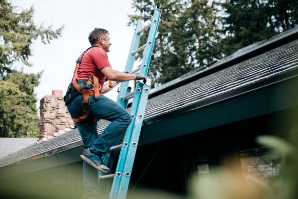 Best Roof Repair  in USA